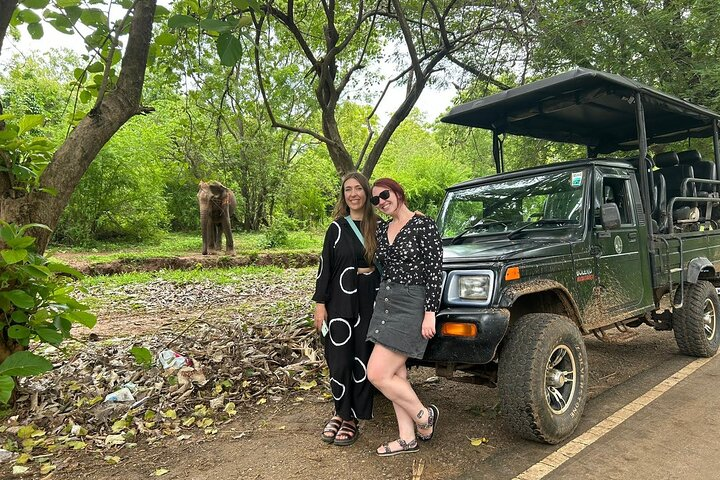 Udawalawe National Park — 4-Hour Private Jeep Safari (Pickup) - Photo 1 of 14